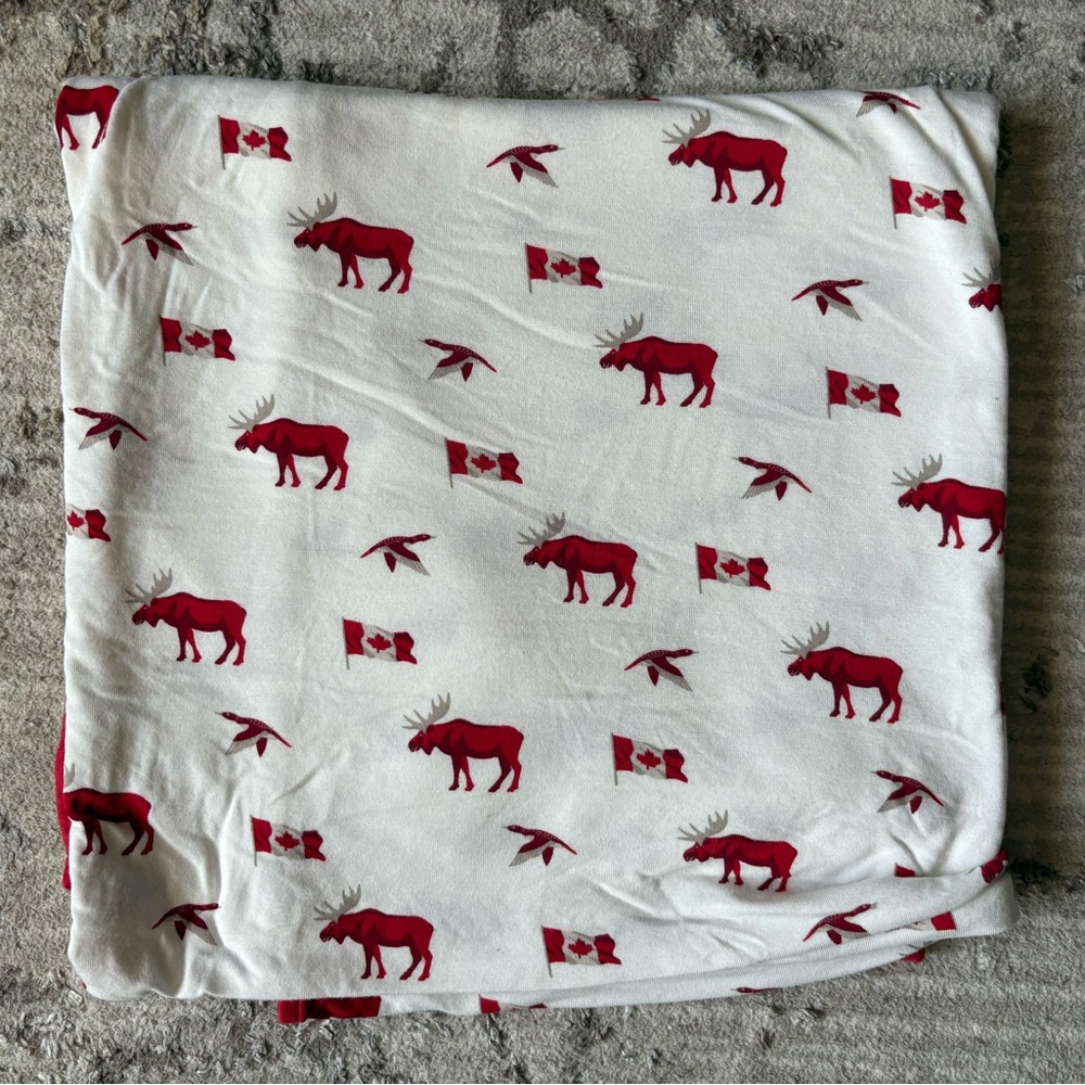 Kyte BABY true north swaddle